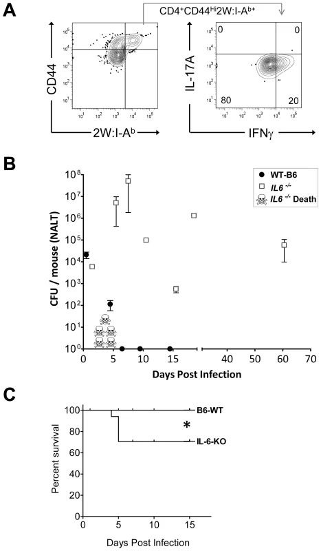 Mice deficient in Th17 cells fail to clear primary GAS infections from NALT and become chronic carriers.