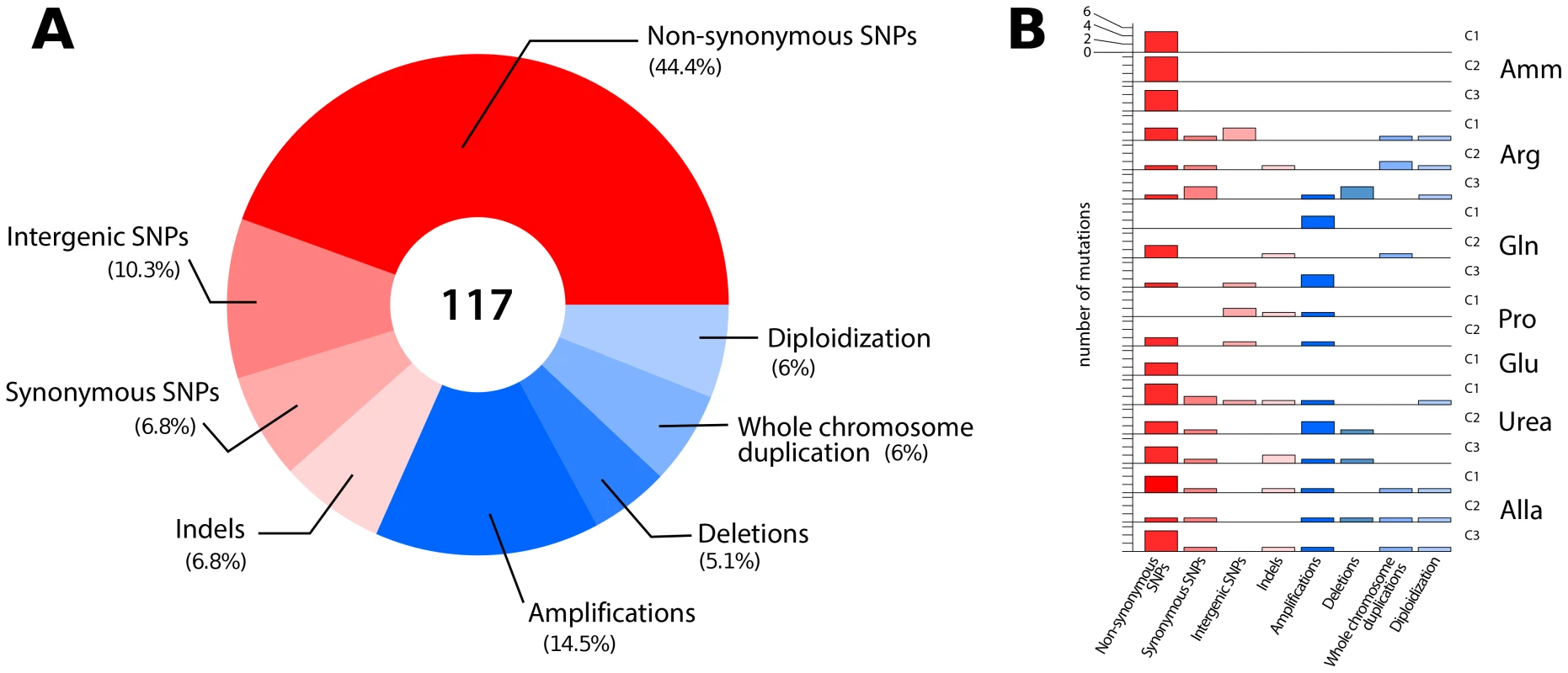 Overview of the classes of mutations identified in lineages adapted to nitrogen-limited conditions.