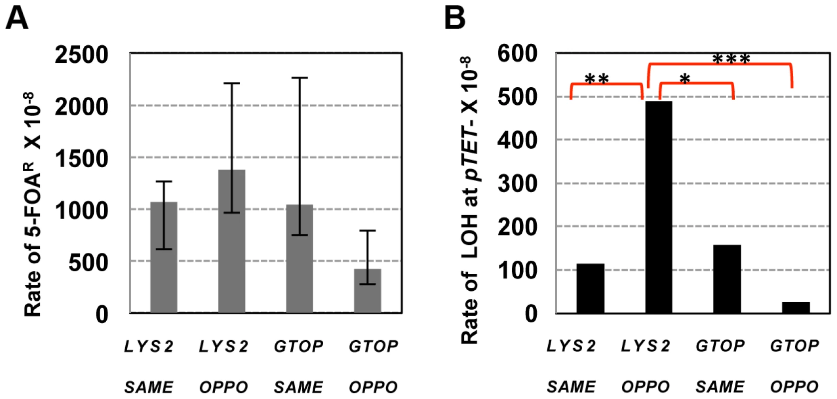 The rates of loss of heterozygosity at CHR3 in <i>top1</i>Δ backgrounds.