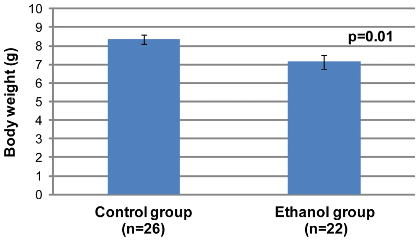Offspring in the gestational ethanol exposure group have a statistically significantly lower mean weight than the control group (Student's <i>t</i>-test, p<0.05).