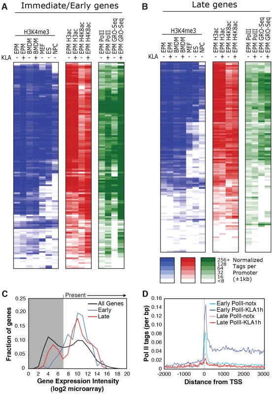 Relationships of histone modifications and RNA polymerase II at I/E and late TLR4-responsive promoters.