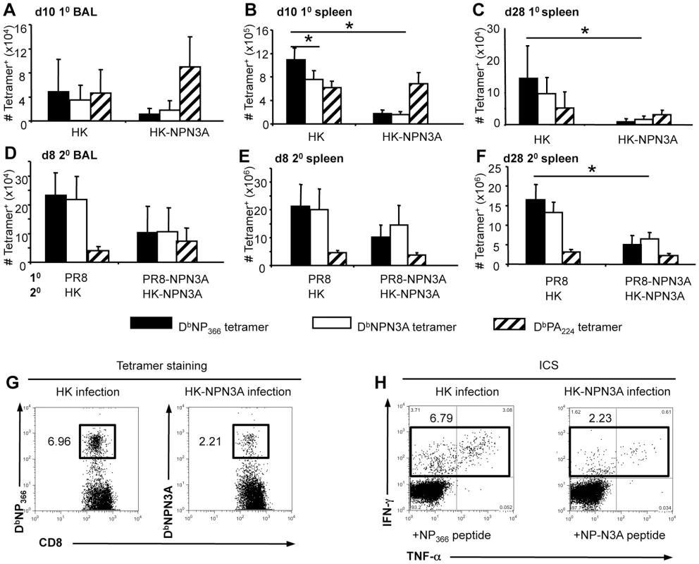 Acute and recall CD8<sup>+</sup> T cell responses to D<sup>b</sup>N3A and D<sup>b</sup>NP<sub>366</sub>.