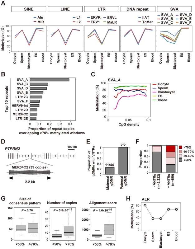 Unique regulation of tandem repeat-containing regions.