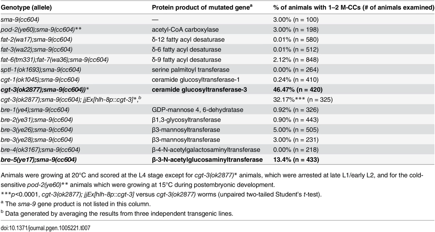 Mutations in enzymes critical for glycosphigolipid (GSL) biosynthesis are defective in Sma/Mab signaling.