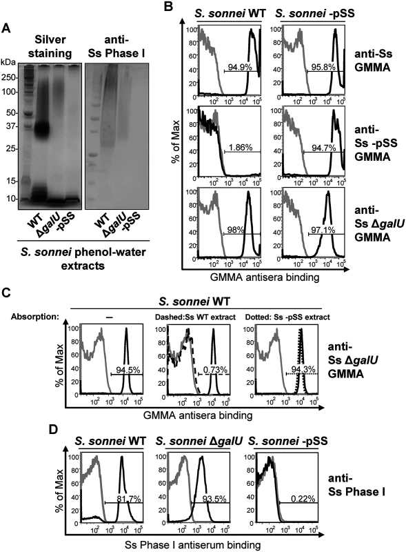 <i>S</i>. <i>sonnei</i> Δ<i>galU</i> LPS mutant possesses immunogenic and antigenic Phase I material on the surface.