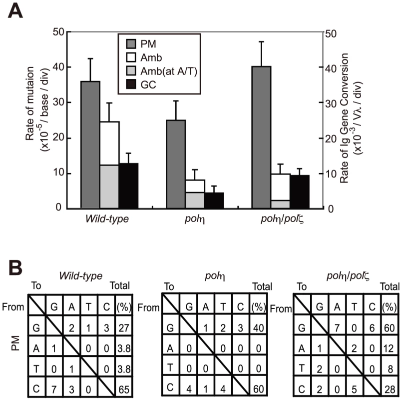 TLS–dependent point mutations in Ig V occur with comparable frequency in <i>wild-type</i> and <i>polη/polζ</i> cells.