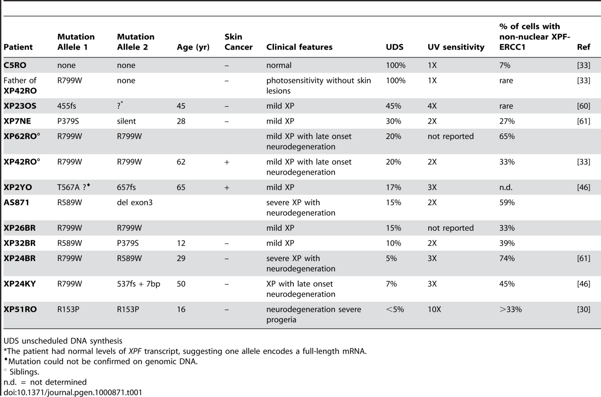 Characteristics of <i>XPF</i> mutant cell lines.