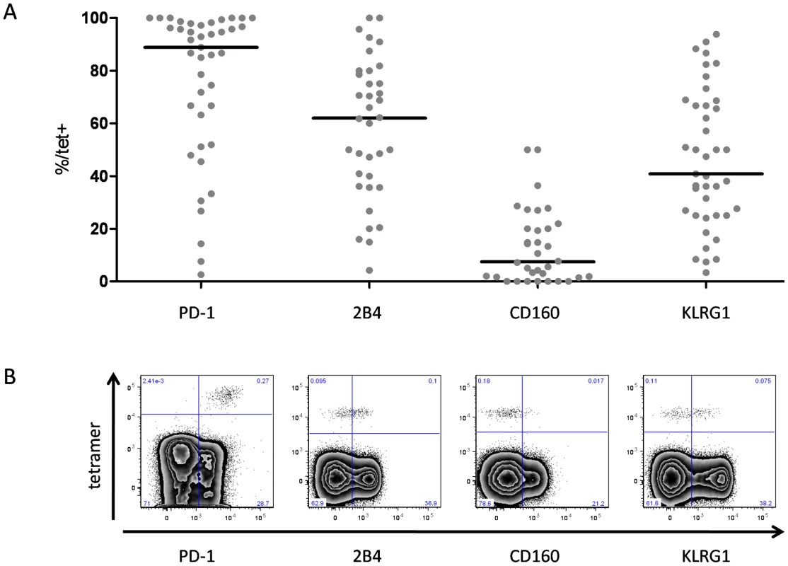 Expression of PD-1, 2B4, CD160 and KLRG1 on HCV-specific CD8+ T cells.