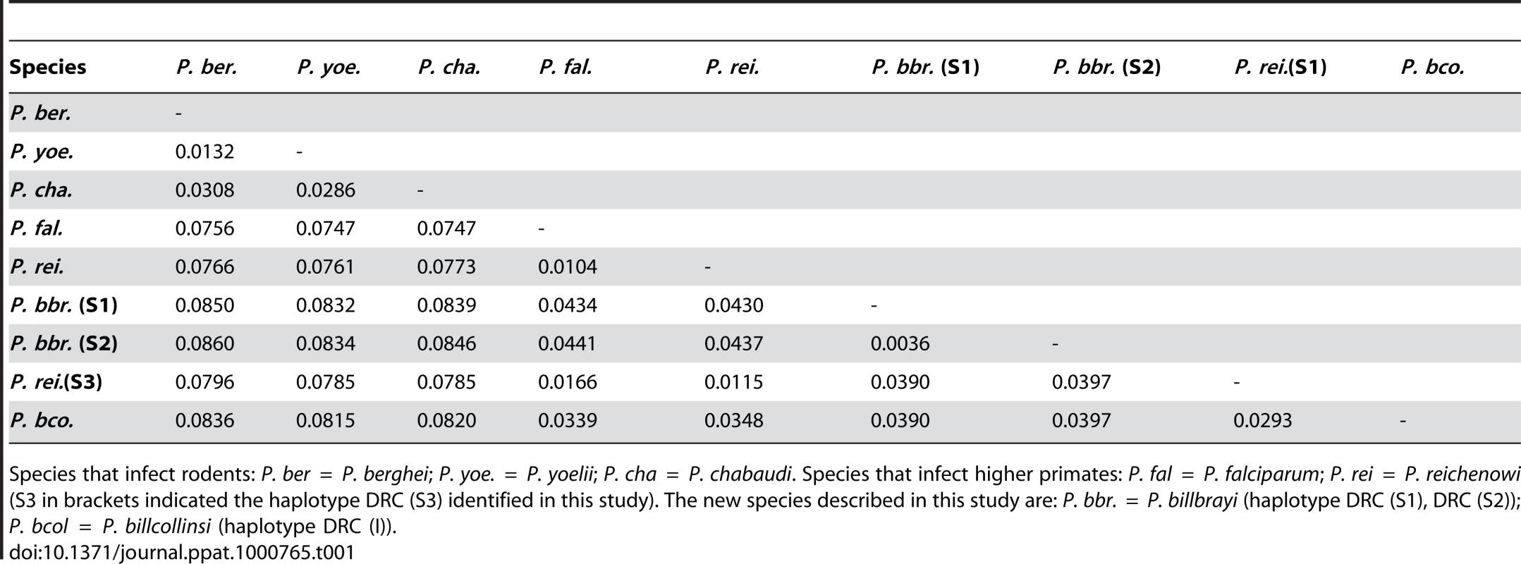 Genetic distances between the mitochondrial lineages (ca. 5800 bp) from selected <i>Plasmodium</i> species.