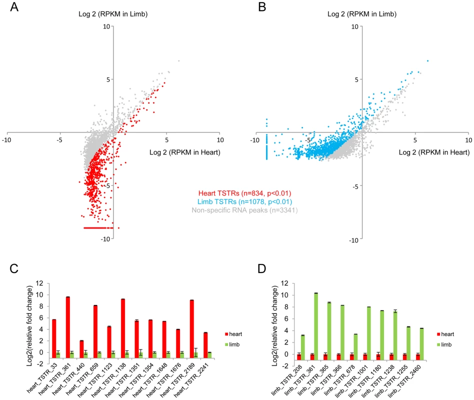 <i>De novo</i> identification of tissue-specifically transcribed regions.