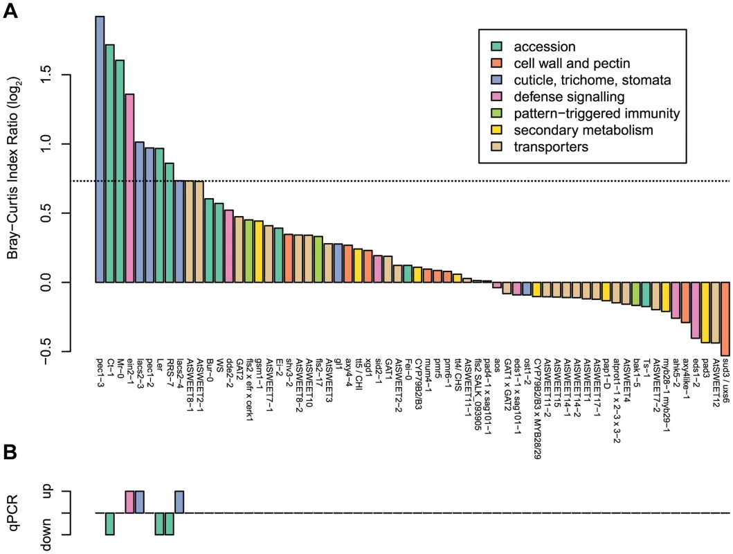 Different <i>A. thaliana</i> plant genotypes (55 in total) were tested for changes in bacterial community composition and abundance in independent experiments.