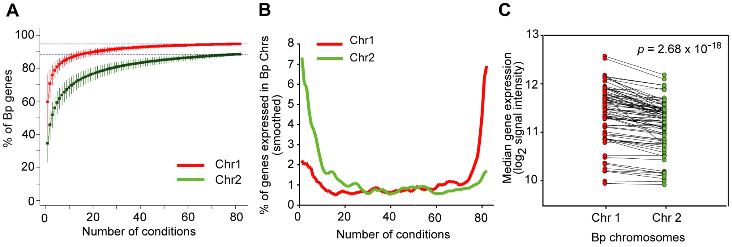 Bp chromosomes display distinct transcriptional landscapes.