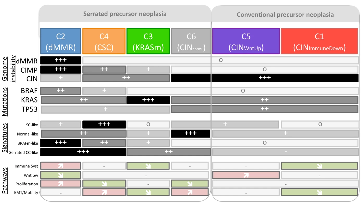 Summary of the main characteristics of the six subtypes.