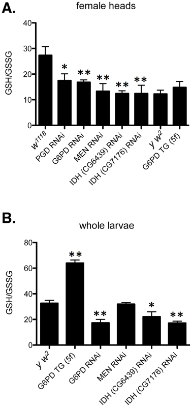 Redox environment is altered by changing the effective dosage of genes involved in NADP/H metabolism.