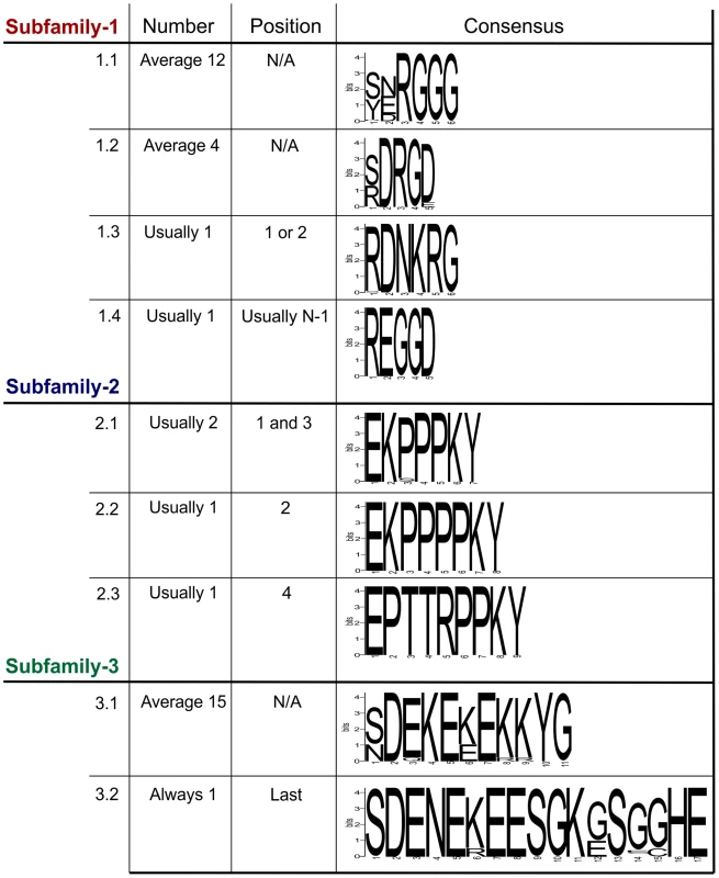 Summary of the variation within the tandem repeat domains.