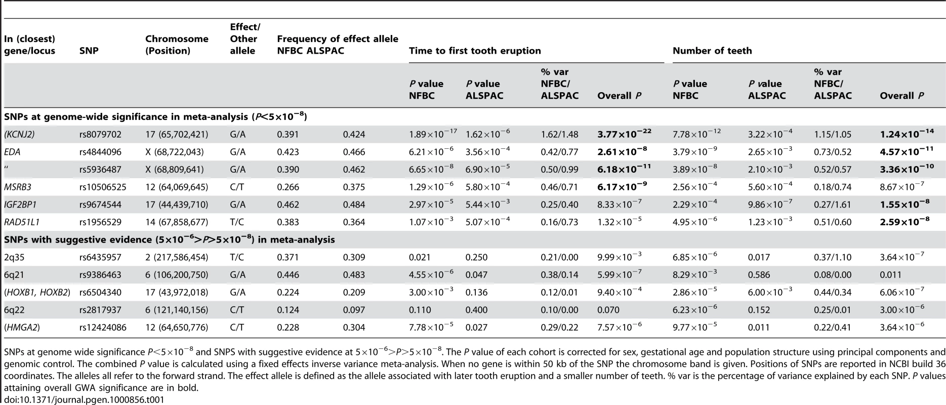The top GWA signals at each locus from a meta-analysis of NFBC1966 and ALSPAC.