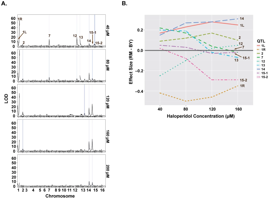Loci underlying haloperidol resistance have dose-dependent effects.