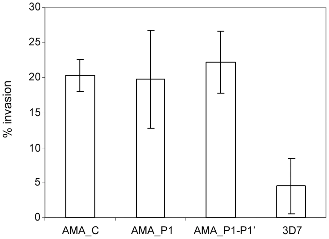 Functional complementation by episomally-expressed PfAMA1 is unaffected by mutations that block PfSUB2-mediated shedding.
