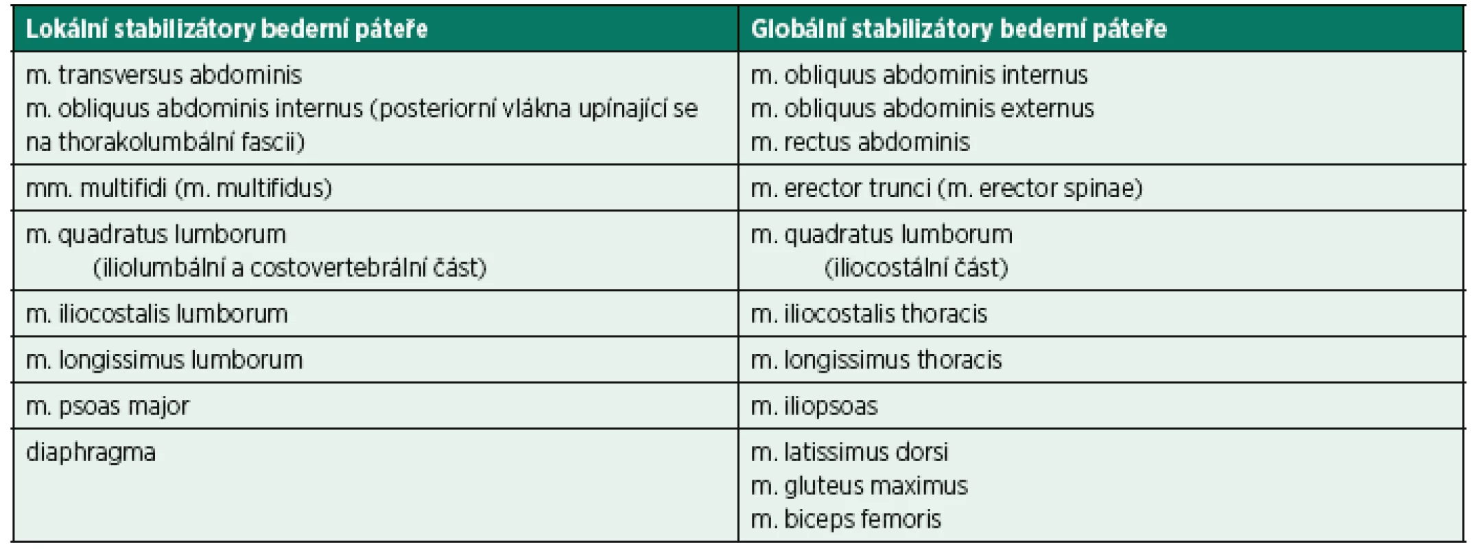 Lokální a globální stabilizátory bederní páteře. Lokální stabilizátory jsou uloženy blíže středu těla (páteři) a obsahují více tonických vláken. Globální stabilizátory se nacházejí blíže tělesnému povrchu a jsou zastoupeny větším množstvím fázických vláken. Lokální a globální stabilizátory se liší funkčně, anatomickou lokalizací, histologickou strukturou i metabolickými ději. Pro udržení neutrálního postavení v páteřním segmentu jsou důležitější lokální stabilizátory (31, 39, 49). Rovnováha bederní páteře je také udržována protilehlým působením ventrální (břišní svaly, bránice, svaly pánevního dna) a dorzální (m. erector trunci) svalové skupiny.