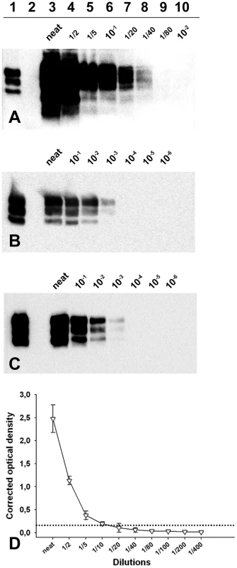 PrP<sup>Sc</sup> detection limit of a Langlade classical scrapie isolate, a PG127 classical scrapie isolate and an Atypical/Nor98 scrapie isolate.