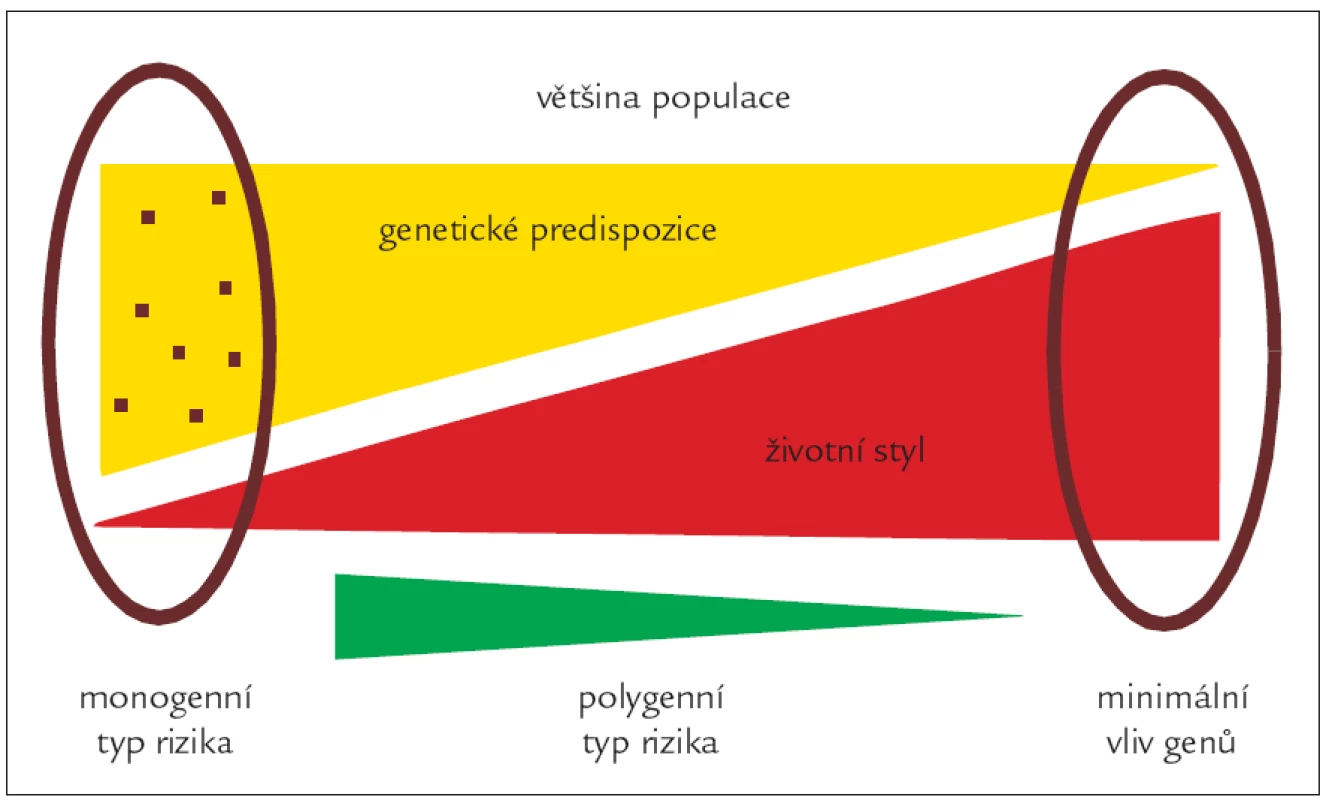 Schematické znázornění možných rizik vedoucích k hyperlipoproteinemii. 