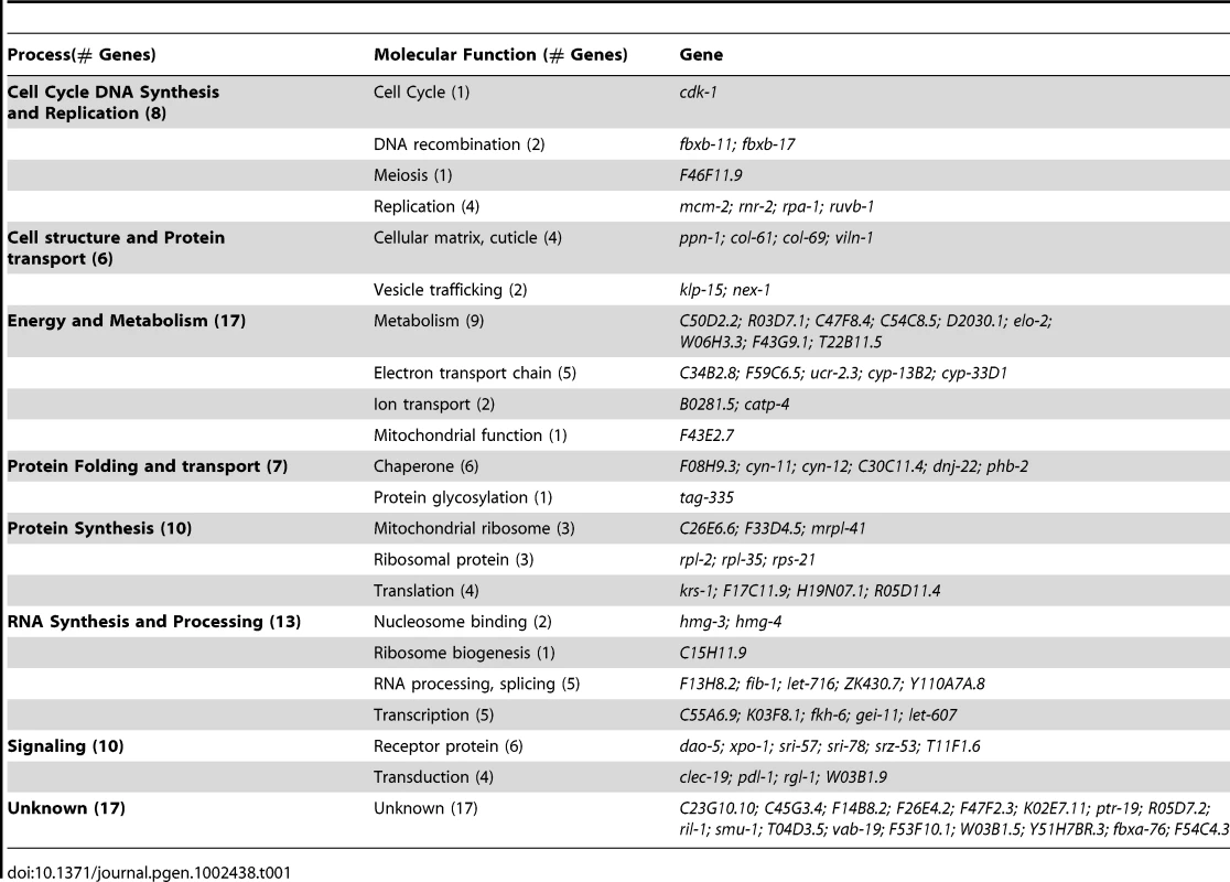 Overview of the modifiers that suppress Q35 and Q37 (Class A) aggregation in <i>C. elegans</i> BWM cells.