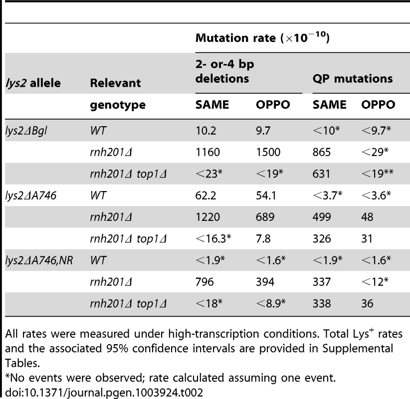 Effect of replication direction relative to transcription on mutation rates.