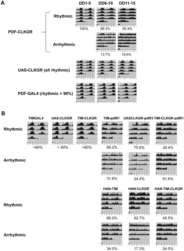 Coordinate amplitude between neuronal groups and the neuropeptide PDF are necessary for compensation of low amplitude molecular oscillations.
