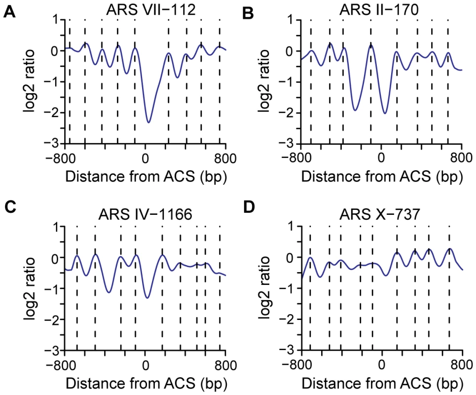 Representative nucleosome profiles and nucleosome calls for 4 origins.