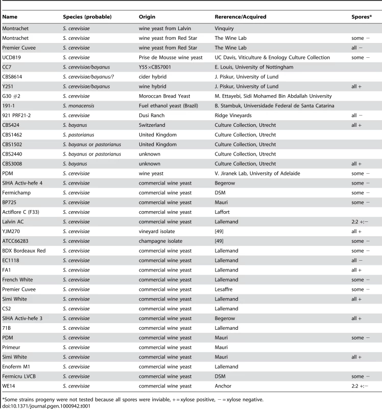 “Xylose positive” strains.