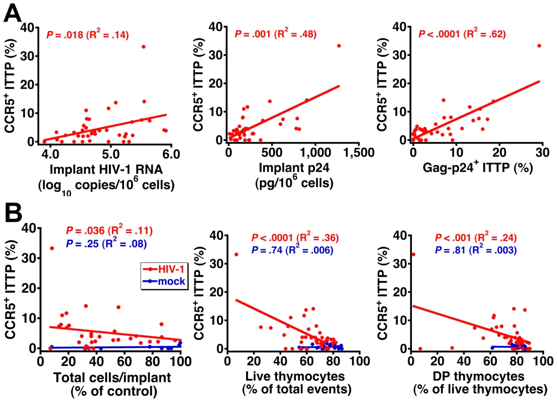Correlation between CCR5 induction on ITTP, HIV replication, and thymocyte depletion.