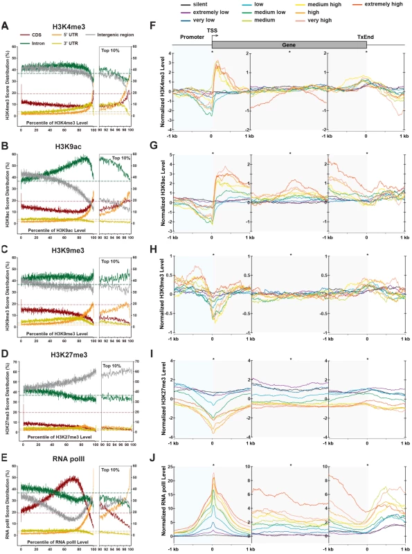 Distributions of chromatin modifications across the genome and genes.