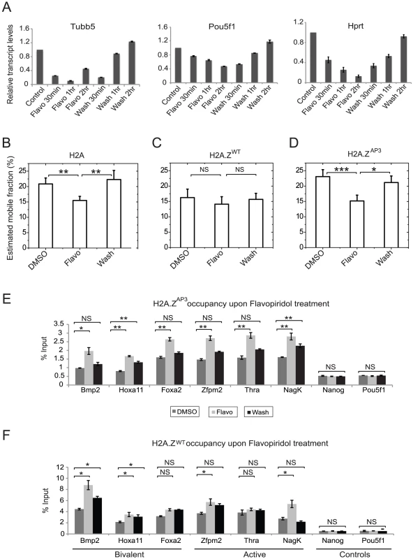 Disruption of H2A.Z acidic patch increases chromatin dynamics in a transcription-dependent manner.