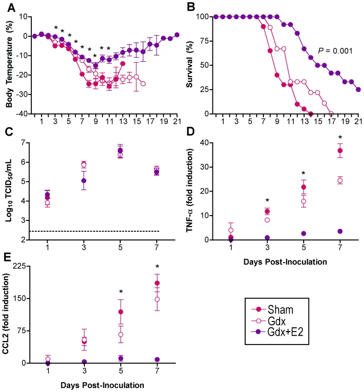 Exogenous E2 protects females against influenza virus infection.