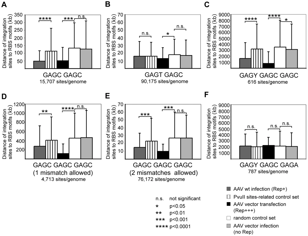 Statistical analysis of distances of integration sites from human Rep-binding motifs.