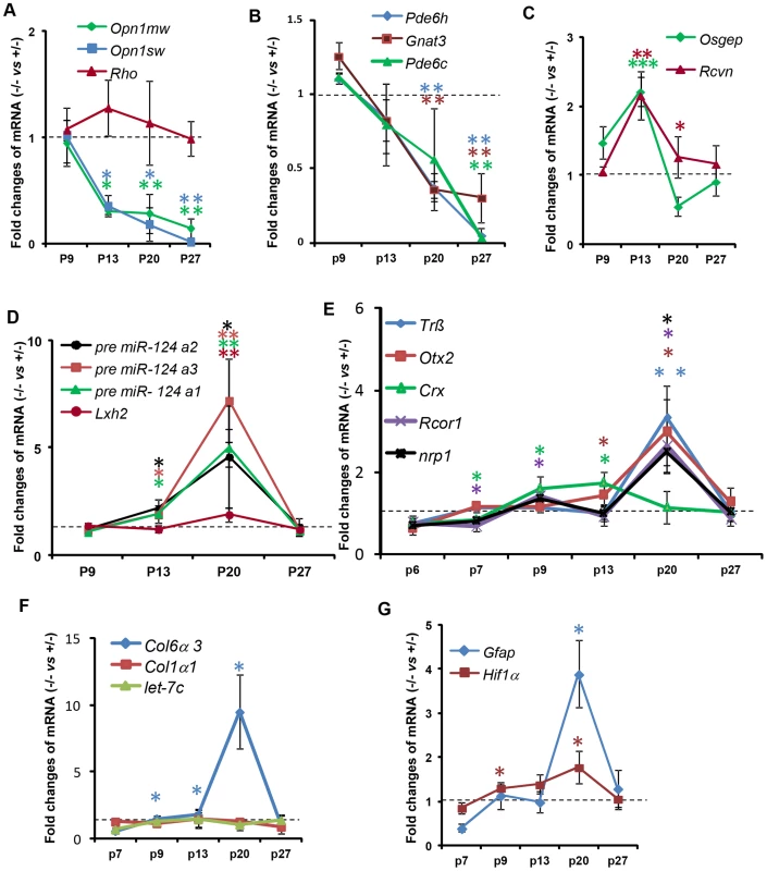 Temporal profiles of changes in gene expression by ablation of <i>Ranbp2</i> in cone photoreceptors.