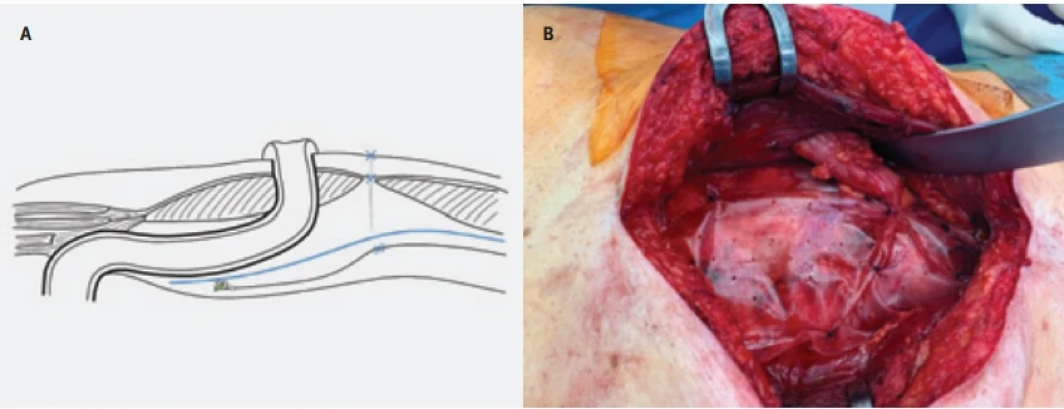  / Fig. 7