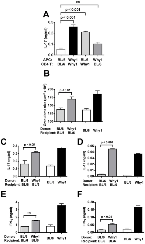 Why1-dependent severe egg-induced immunopathology is mediated by CD4 T cells.