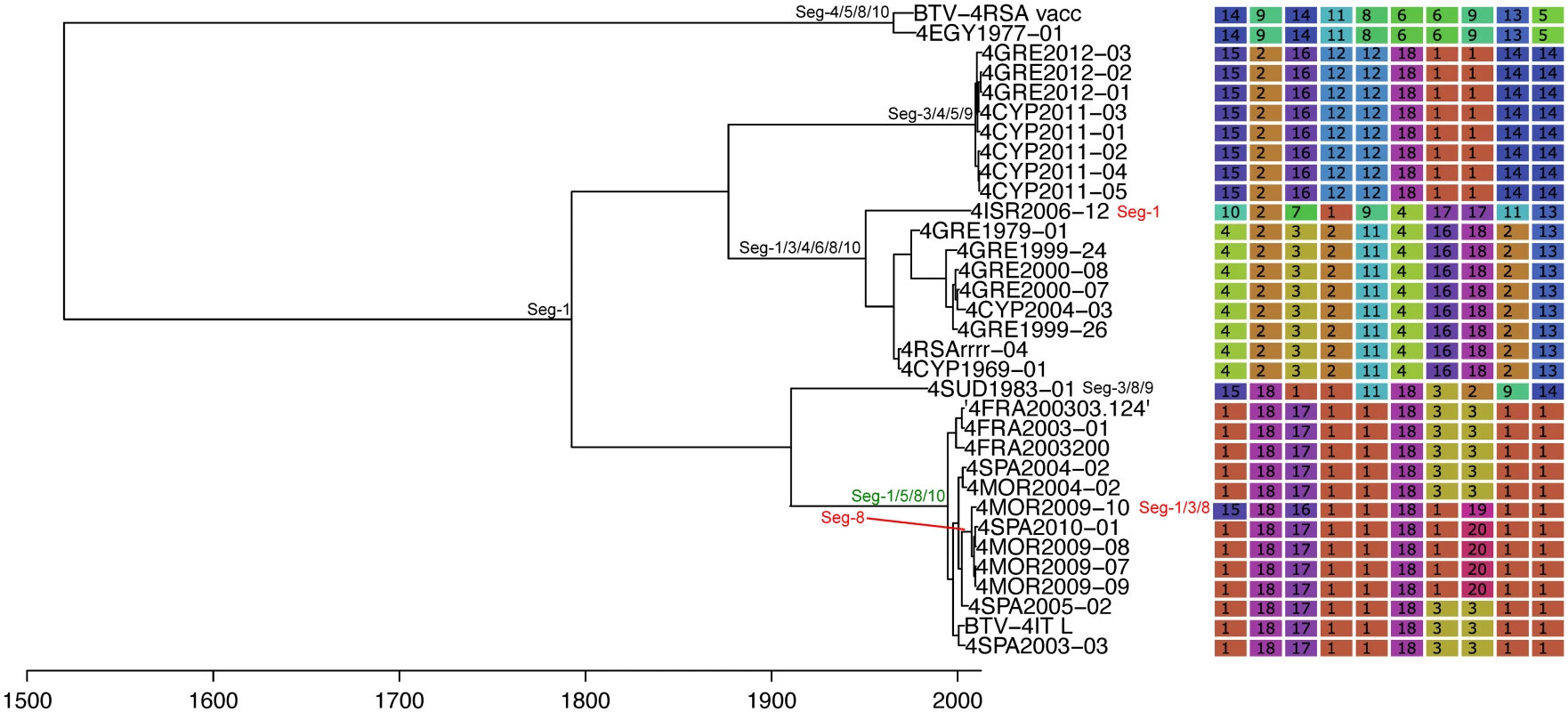 Time-scaled Seg-2 phylogeny of European BTV-4 isolates.