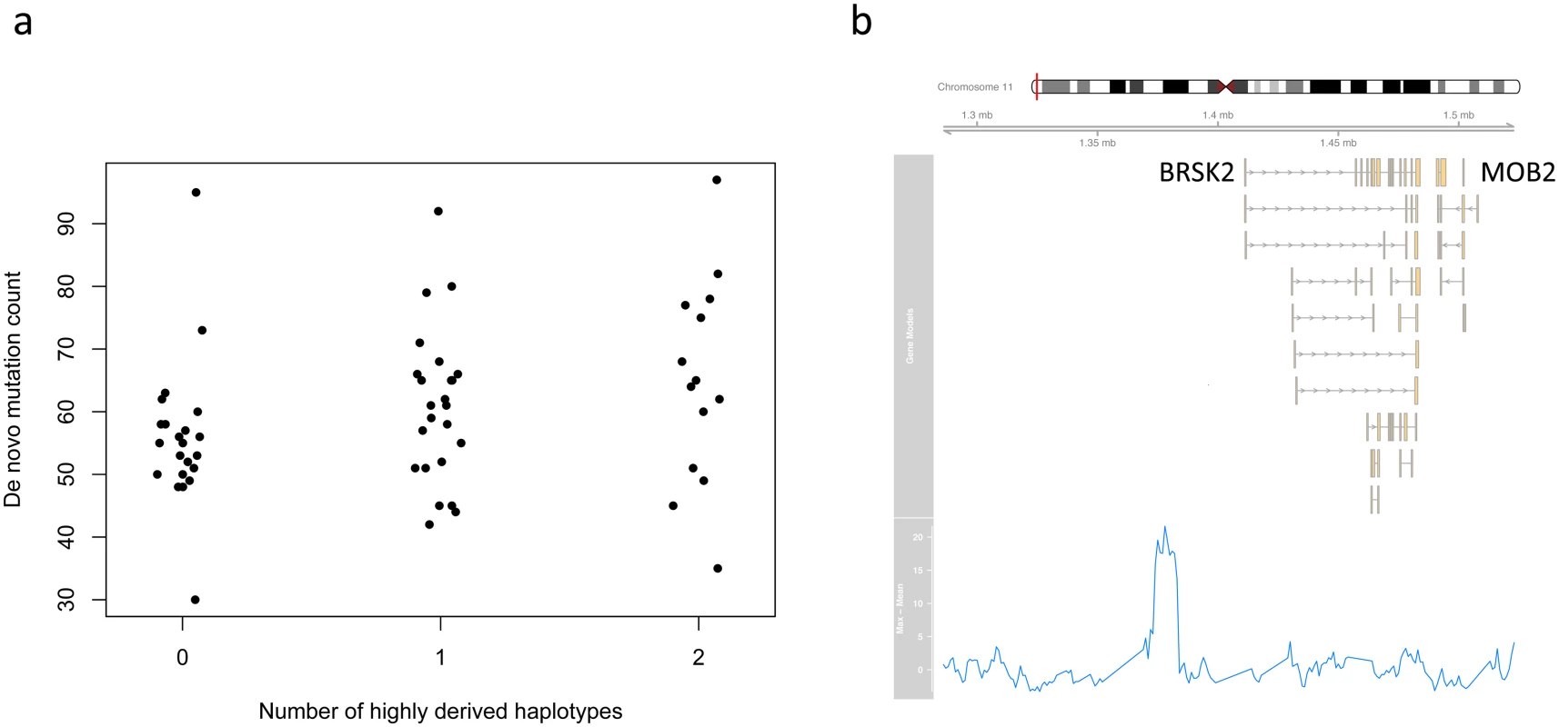 Putative mutator allele on chromosome 11.