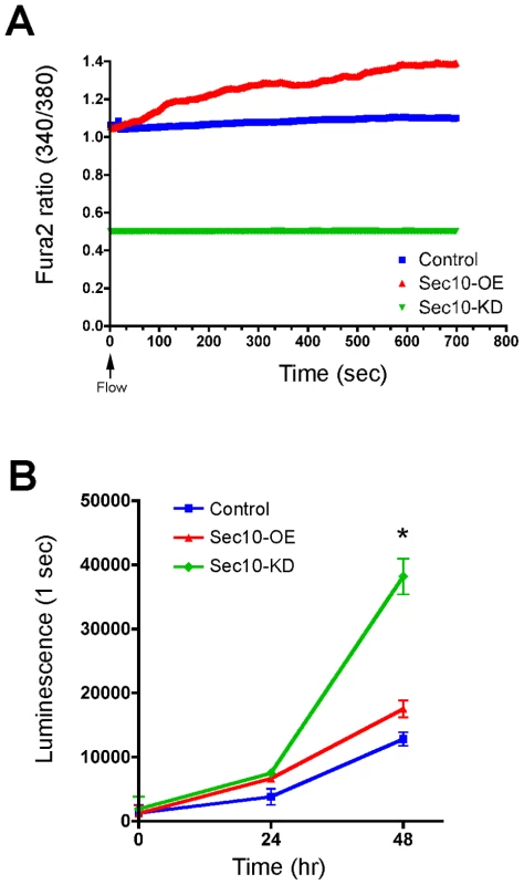 Sec10 knockdown in MDCK cells leads to ADPKD-like phenotypes.