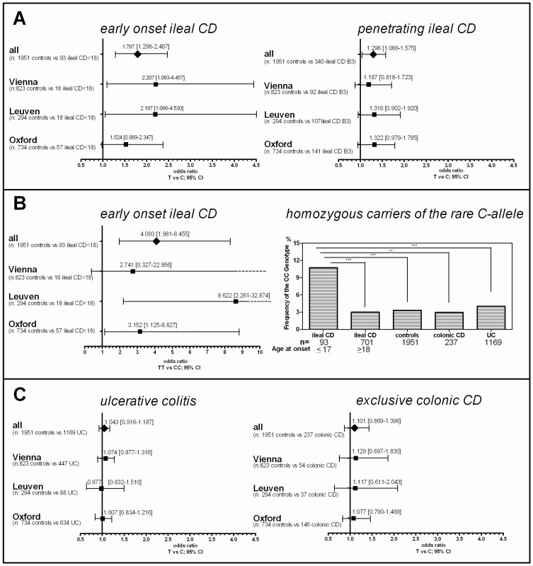Risk for rs2302685 C-allele carriers in the different disease subgroups and the influence of detailed phenotyping.