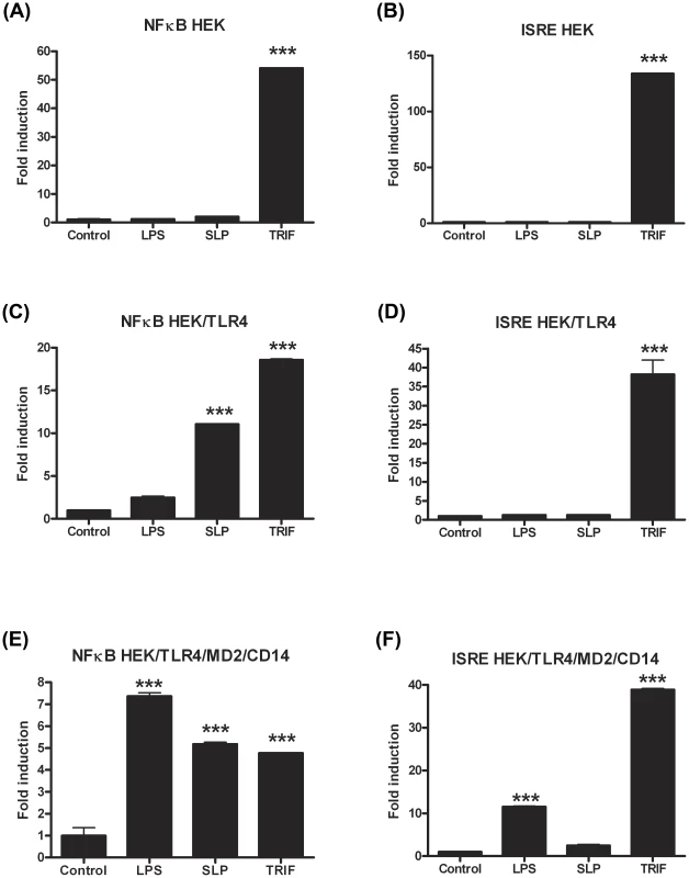 SLPs activate NFκB independently of CD14.