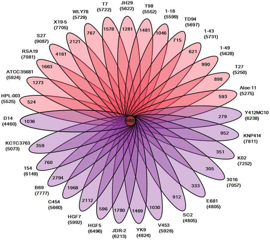 Genomic diversity of strains in the genus <i>Paenibacillus</i>.