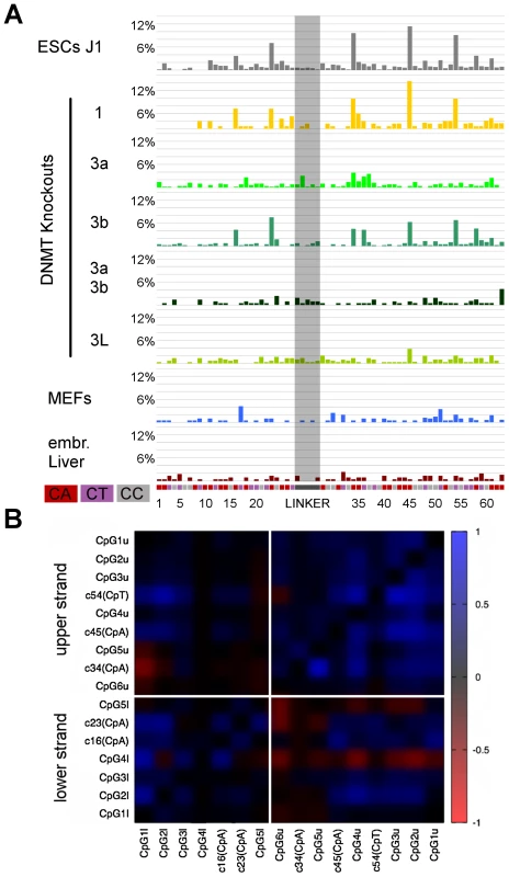 Non-CpG methylation of Afp.