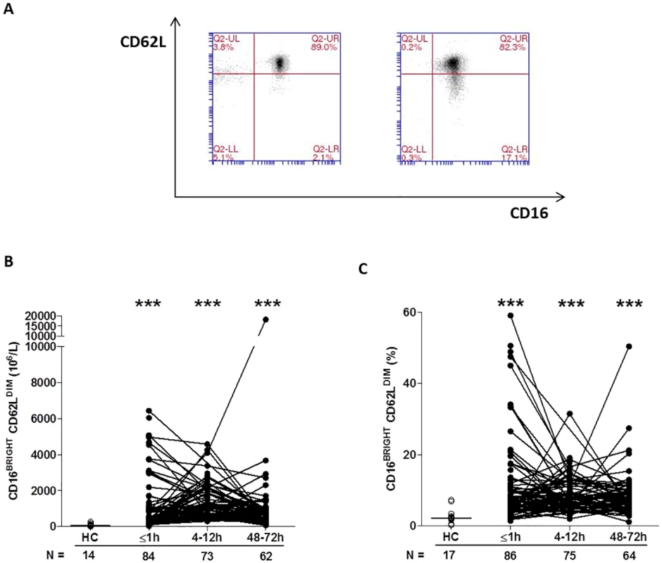 Traumatic injury results in immediate alterations in the composition of the circulating neutrophil pool.