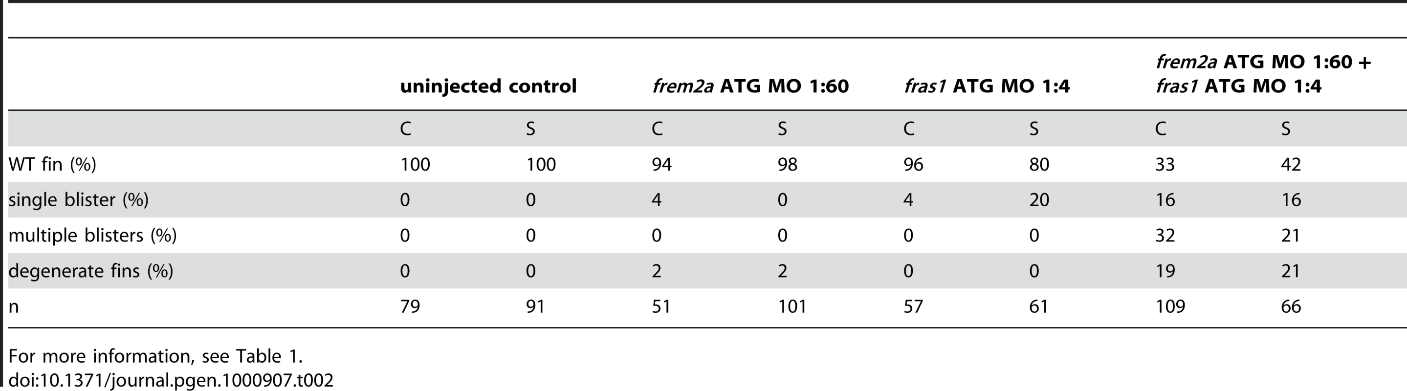 Synergistic interaction between <i>frem2a</i> and <i>fras1</i>.