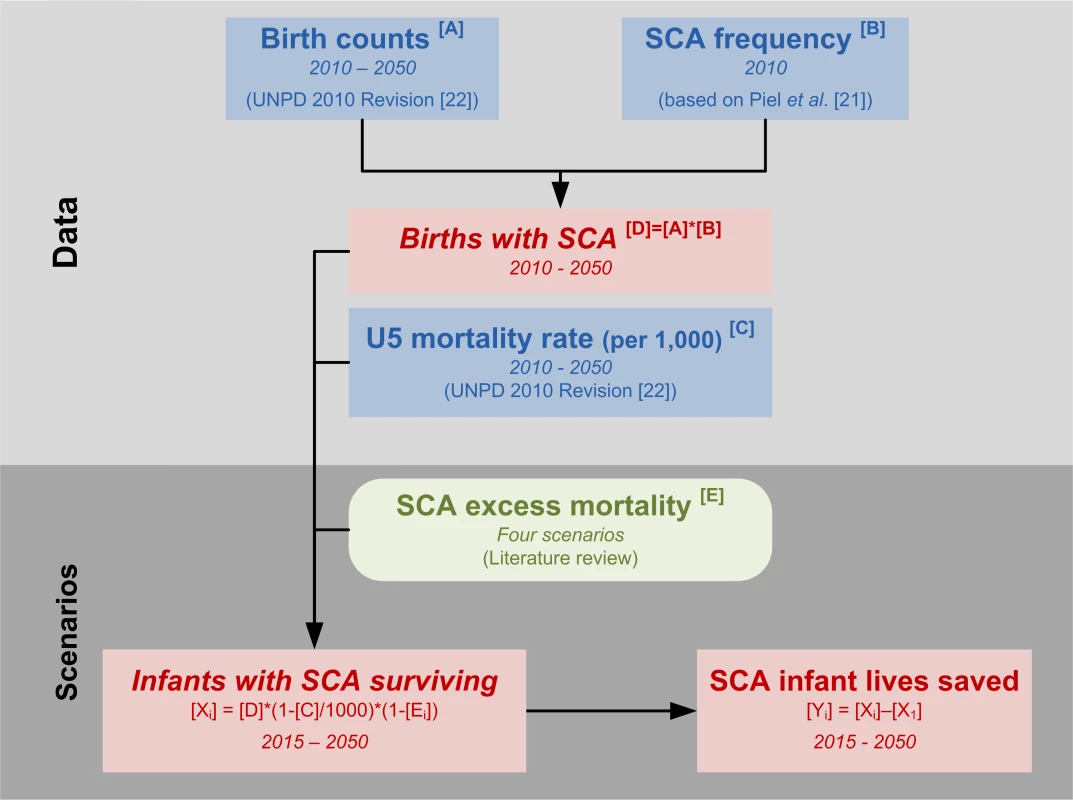 Schematic overview of our model approach.
