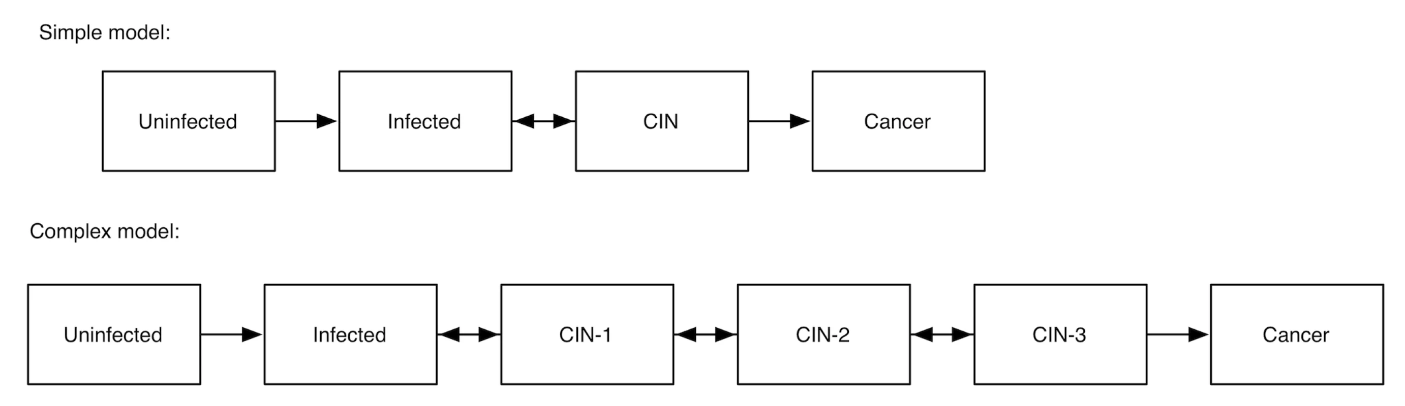 Two alternative models of human papillomavirus and cervical cancer.