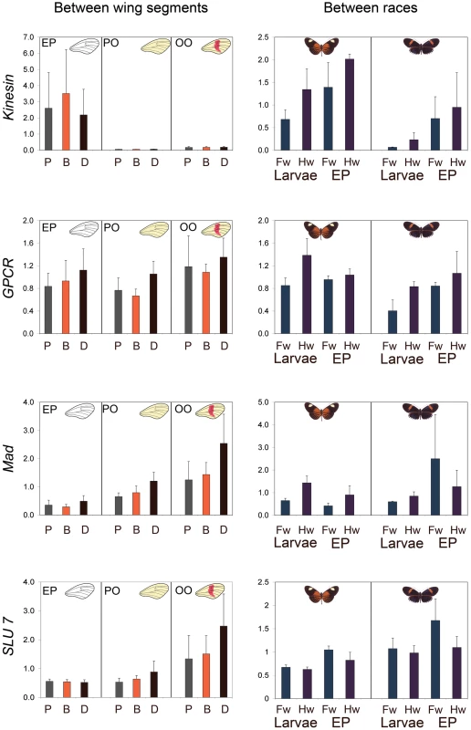 Mean and standard error of relative gene expression for <i>Mad</i>, <i>Slu7</i>, <i>Kinesin</i>, and <i>GPCR</i>.